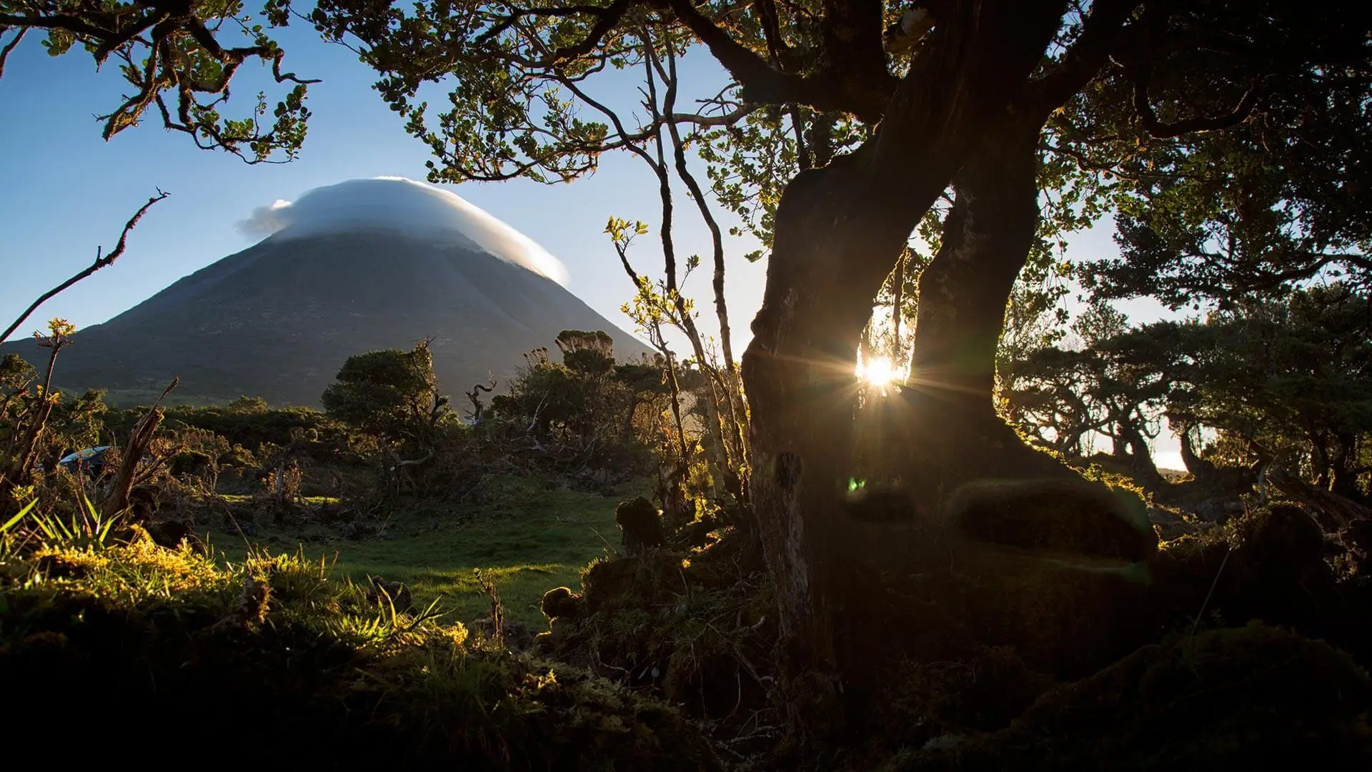 Pico Island Travel Guides