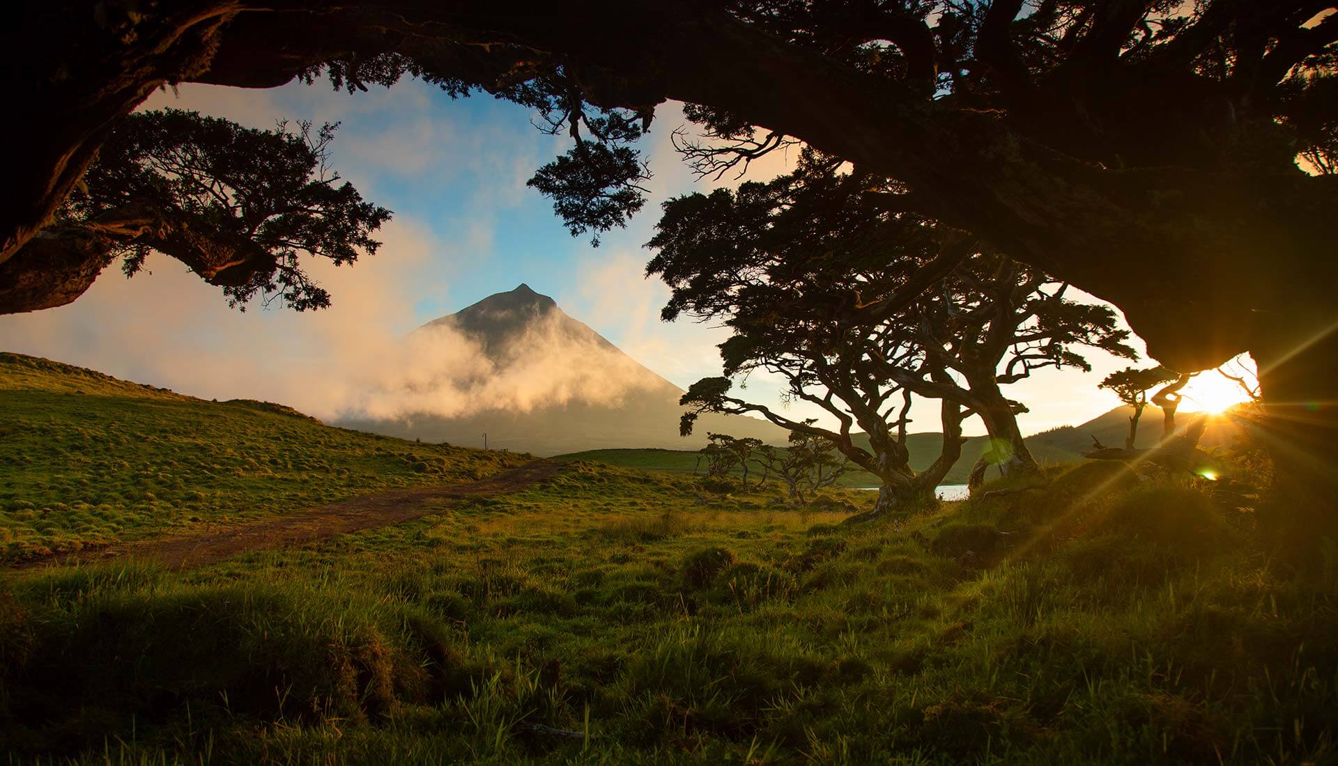 How Many Days to Stay on Pico: A 3 to 5 Day Itinerary and the Best Time to Go