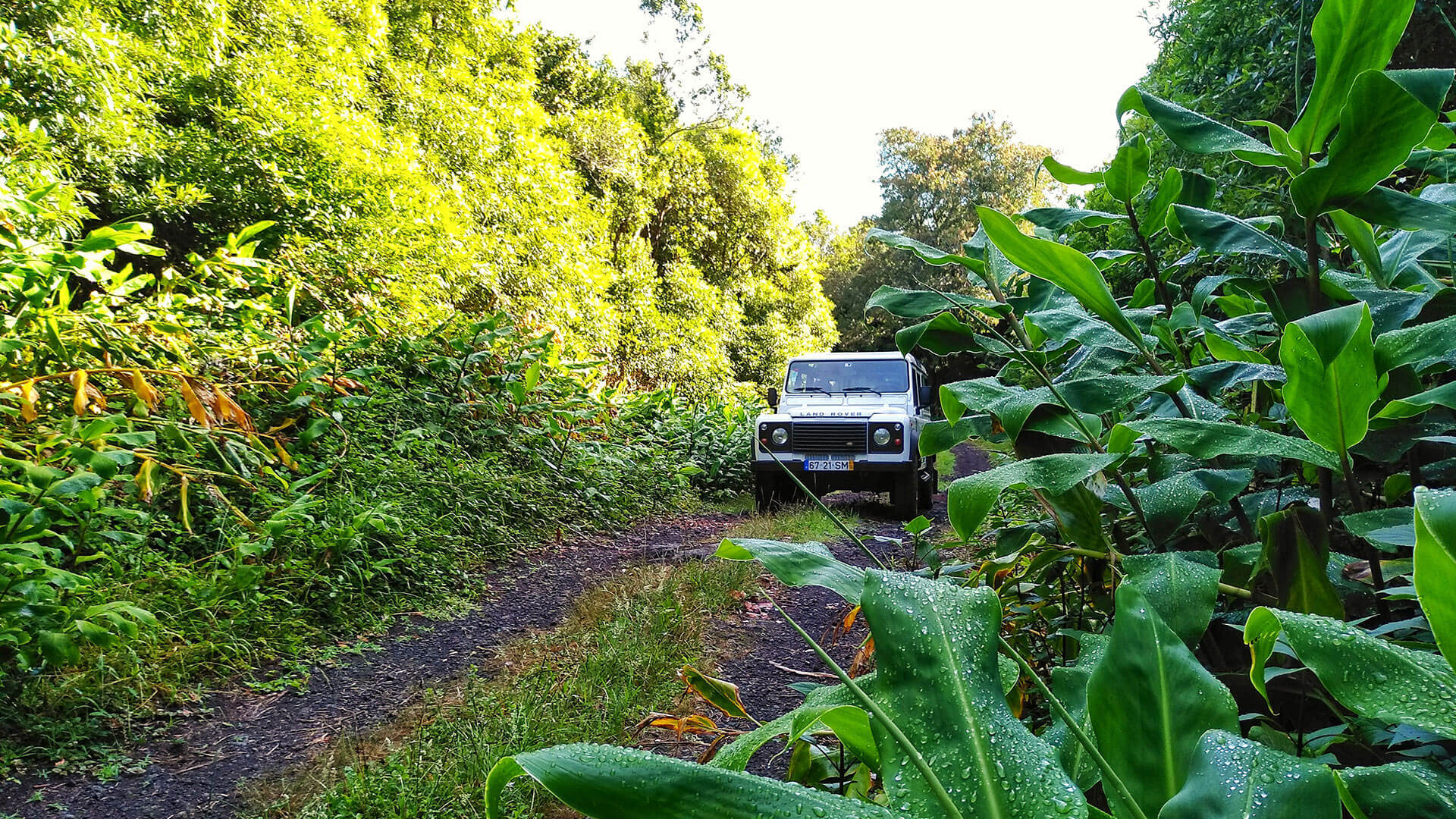 Terralta Nature Tours