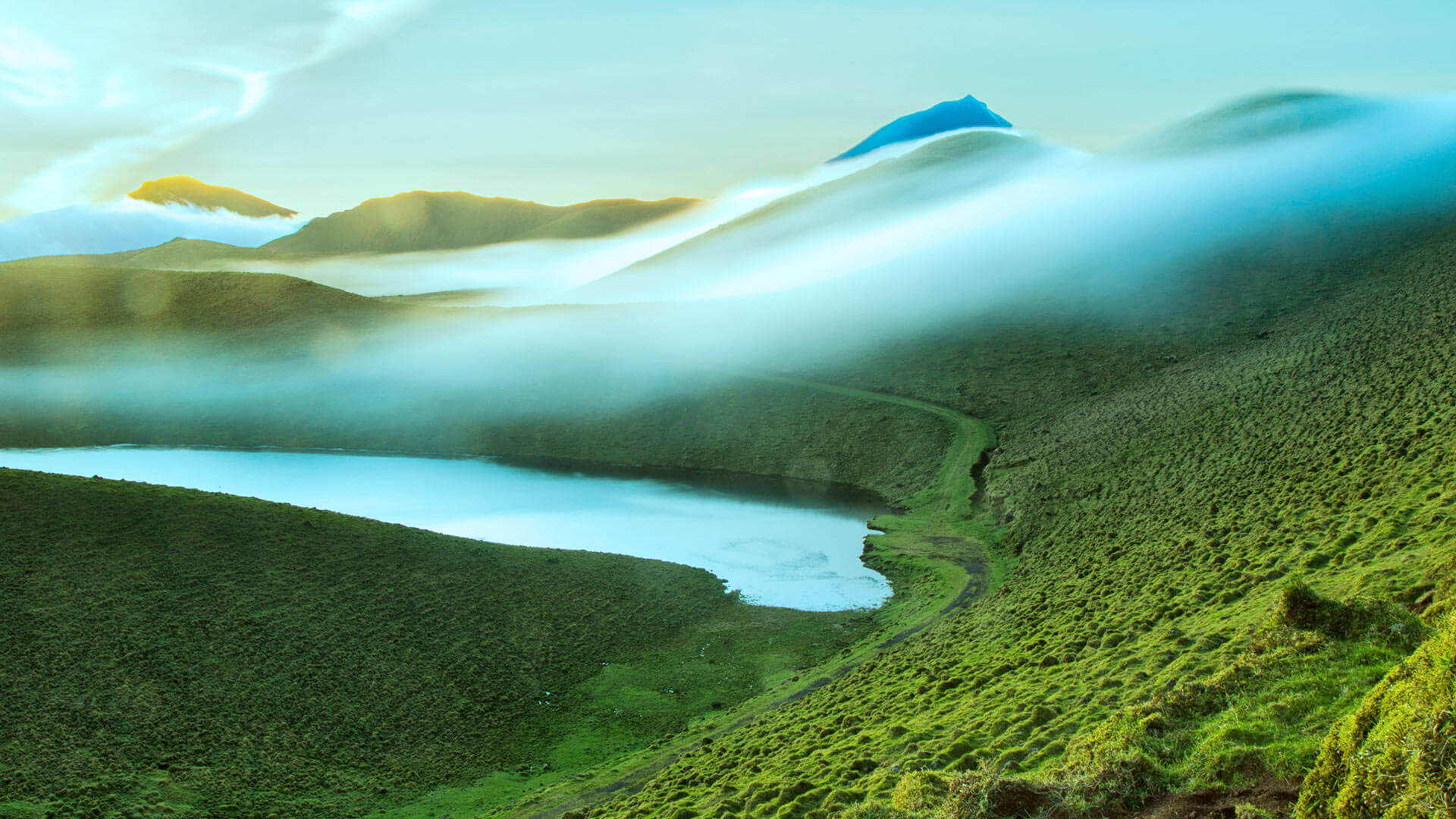 terralta-banner-slider-3